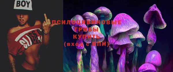 сатива Нязепетровск