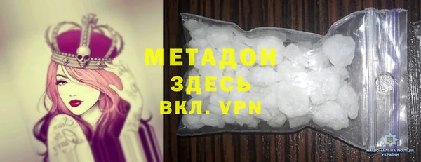 прущие грибы Няндома
