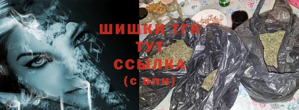 прущие грибы Няндома