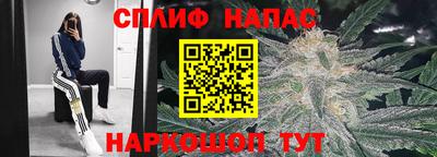 шишки Ипатово