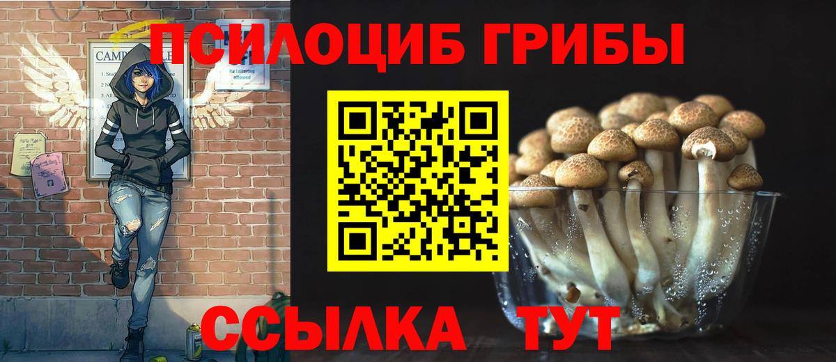 Псилоцибиновые грибы GOLDEN TEACHER  как найти закладки  Нягань  Вход с VPN  Псилоцибиновые грибы прущие грибы 